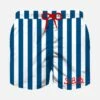 MC2 Saint Barth Boy Swim Shorts With Navy Blue Stripes 1 MC2 Saint Barth Boy Swim Shorts With Navy Blue Stripes -MC2 Saint Barth Store 00818b f 20bd68fd 5483 4b84 8baf ff5b7d164284
