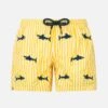 MC2 Saint Barth Boy Seersucker Swim-shorts Jean With Sharks Embroidery -MC2 Saint Barth Store UID JEA001102040F KIDS SWIMSHORT SEERSUCKERTIBURONSTRIPESS92 20240530102434 1 6022a7b6 617e 43dc a737 3e1019d4e8a6